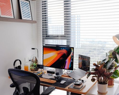 ergonomic office setup with plant and laptop